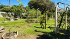 Foto 15 de Fazenda/Sítio com 3 Quartos à venda, 1300m² em Zona Rural, Pinhalzinho