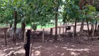 Foto 18 de Fazenda/Sítio com 3 Quartos à venda, 124388m² em Zona Rural, Indiara