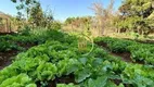 Foto 15 de Fazenda/Sítio à venda, 484000m² em Sobradinho, Brasília