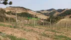 Foto 9 de Fazenda/Sítio à venda, 330000m² em Centro, Cristina