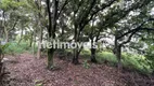 Foto 10 de Lote/Terreno à venda, 1723m² em Jardim Atlântico, Belo Horizonte