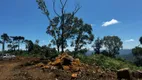 Foto 7 de Fazenda/Sítio à venda, 20000m² em , Urubici