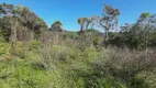 Foto 12 de Fazenda/Sítio à venda, 320000m² em , Antônio Carlos