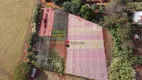 Foto 10 de Fazenda/Sítio com 3 Quartos à venda, 244m² em , Cravinhos