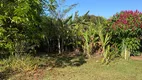 Foto 2 de Fazenda/Sítio com 3 Quartos à venda, 4000m² em Centro, Cambé