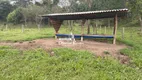 Foto 5 de Fazenda/Sítio com 2 Quartos à venda, 96000m² em Zona Rural, Goianápolis