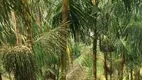 Foto 6 de Fazenda/Sítio à venda em , Penalva