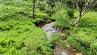 Foto 10 de Fazenda/Sítio com 2 Quartos à venda, 80000m² em Centro, Alfredo Wagner