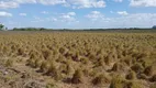 Foto 13 de Fazenda/Sítio com 3 Quartos à venda, 104000m² em Centro, Senador Elói de Souza