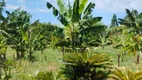 Foto 30 de Fazenda/Sítio com 3 Quartos à venda, 5000m² em Usina Três Bocas, Londrina