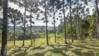 Foto 49 de Fazenda/Sítio à venda, 10000m² em Timbu, Campina Grande do Sul