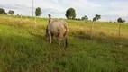 Foto 32 de Fazenda/Sítio com 3 Quartos à venda, 3700000m² em Zona Rural, Acorizal