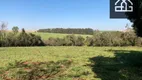 Foto 24 de Fazenda/Sítio com 3 Quartos à venda, 43560m² em Zona Rural, Cascavel