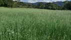 Foto 2 de Fazenda/Sítio com 3 Quartos à venda, 86m² em Estrada do Invernador, Urubici