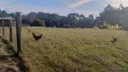 Foto 26 de Fazenda/Sítio com 3 Quartos à venda, 30000m² em Vilarejo Taboao, Agudos do Sul