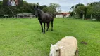 Foto 25 de Fazenda/Sítio com 2 Quartos à venda, 100m² em Zona Rural, Itapetininga