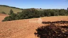 Foto 3 de Fazenda/Sítio com 1 Quarto à venda, 366050m² em Sítios Primavera, Jarinu