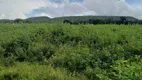 Foto 3 de Fazenda/Sítio com 5 Quartos à venda, 7m² em , Uruana