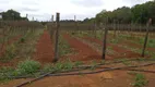 Foto 24 de Fazenda/Sítio com 3 Quartos à venda, 200m² em Zona Rural, São Miguel Arcanjo