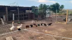 Foto 16 de Fazenda/Sítio com 3 Quartos à venda, 150m² em Zona Rural, Anápolis