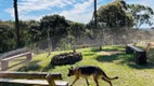 Foto 19 de Lote/Terreno à venda, 100000m² em Bateias de Baixo, Campo Alegre