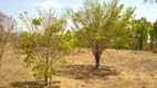 Foto 3 de Fazenda/Sítio à venda, 54400m² em Distrito de Roselandia, Bela Vista de Goiás