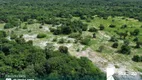 Foto 6 de Fazenda/Sítio à venda, 290m² em Zona Rural, Arapoema