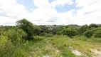 Foto 13 de Lote/Terreno à venda, 5683m² em Colonia Antonio Prado, Almirante Tamandaré