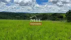 Foto 18 de Fazenda/Sítio à venda, 75m² em Zona Rural, Paraúna