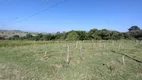 Foto 8 de Fazenda/Sítio com 2 Quartos à venda, 60000m² em Terras de Santa Rosa, Salto