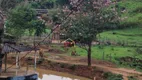 Foto 19 de Fazenda/Sítio com 5 Quartos à venda, 400m² em , Redenção da Serra