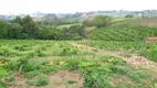 Foto 6 de Fazenda/Sítio com 4 Quartos à venda, 100m² em Macuco, Valinhos