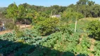 Foto 2 de Fazenda/Sítio com 3 Quartos à venda, 220m² em Area Rural de Limeira, Limeira