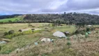 Foto 14 de Fazenda/Sítio com 4 Quartos à venda, 20000m² em Demoras, Alfredo Wagner