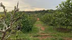 Foto 8 de Fazenda/Sítio com 2 Quartos à venda, 200m² em Reforma Agraria, Valinhos