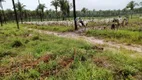 Foto 9 de Fazenda/Sítio à venda em , Penalva