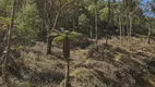 Foto 3 de Lote/Terreno à venda em Zona Rural, Urubici