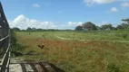 Foto 3 de Fazenda/Sítio com 3 Quartos à venda, 900000m² em , Vera Cruz