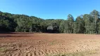 Foto 16 de Fazenda/Sítio à venda, 30000m² em Zona Rural, Pato Branco