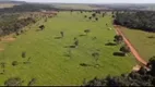 Foto 2 de Fazenda/Sítio com 4 Quartos à venda, 5000m² em Tabajaras, Uberlândia