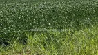 Foto 4 de Fazenda/Sítio à venda em Jardim Acacia, Tangará da Serra