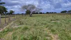 Foto 15 de Fazenda/Sítio com 3 Quartos à venda, 27000m² em Monte Alegre, Monte Alegre