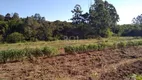 Foto 15 de Galpão/Depósito/Armazém à venda, 1m² em Campo Novo, Porto Alegre