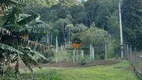 Foto 46 de Fazenda/Sítio com 3 Quartos à venda, 250m² em Timbu, Campina Grande do Sul