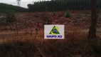 Foto 35 de Fazenda/Sítio à venda, 63000000m² em Zona Rural, São Romão