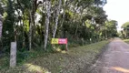 Foto 15 de Fazenda/Sítio à venda, 20000m² em Borda do Campo, São José dos Pinhais