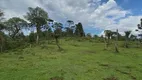 Foto 8 de Fazenda/Sítio à venda em Zona Rural, Urubici