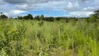 Foto 11 de Fazenda/Sítio à venda em Centro, Guiratinga