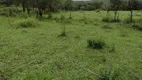 Foto 11 de Lote/Terreno à venda, 20000m² em Centro, Fortuna de Minas