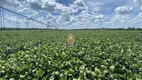 Foto 8 de com 8 Quartos à venda, 3500000m² em Zona Rural, Inhaúma